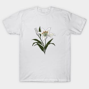 Lily T-Shirt